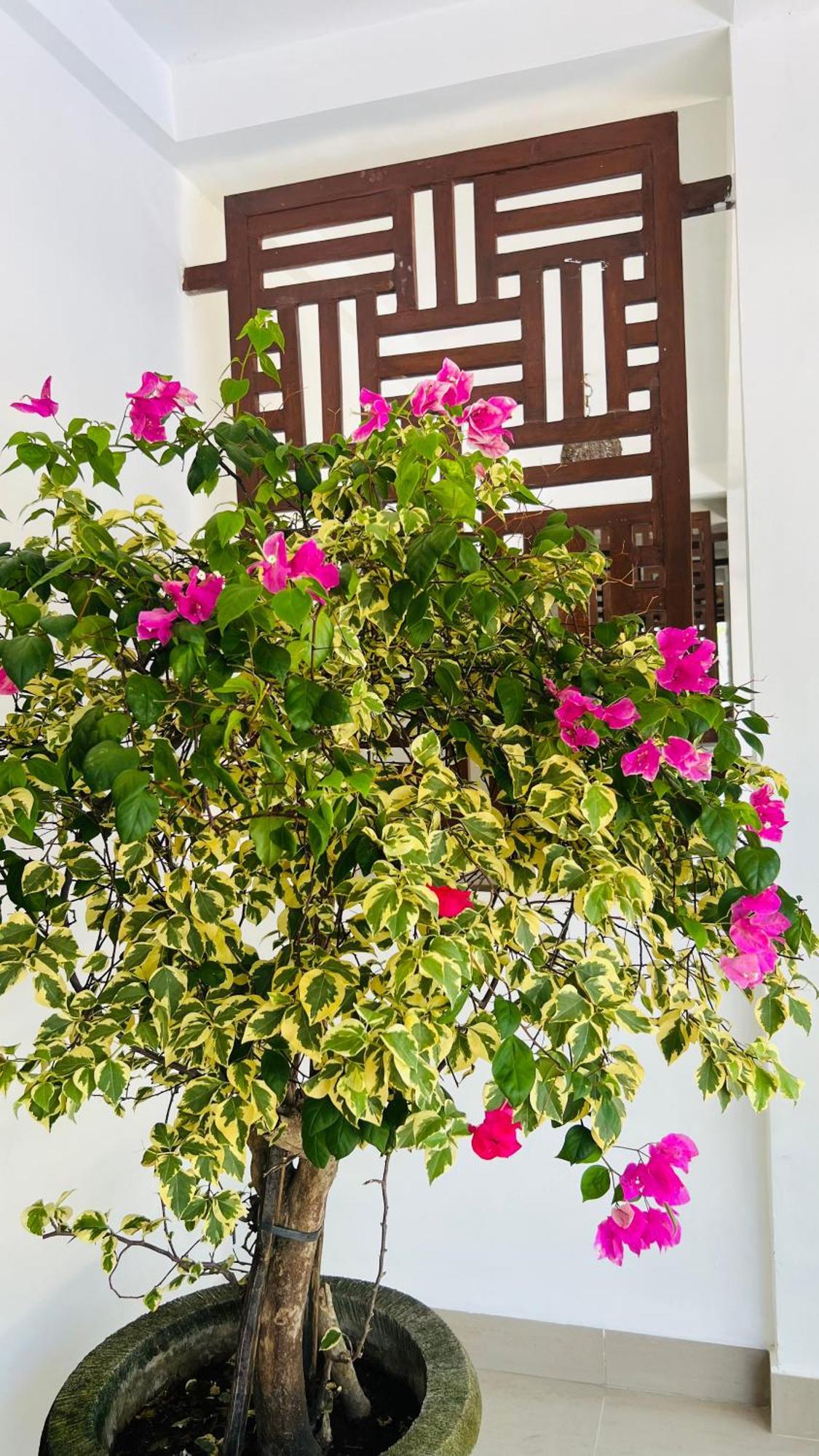 Marygio Gili Resort Τζίλι Τραγουανγκάν Εξωτερικό φωτογραφία